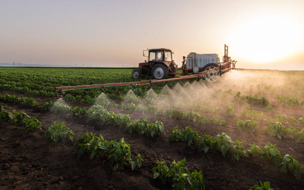 Best Pest Prevention Services  in Westhampton Beach, NY