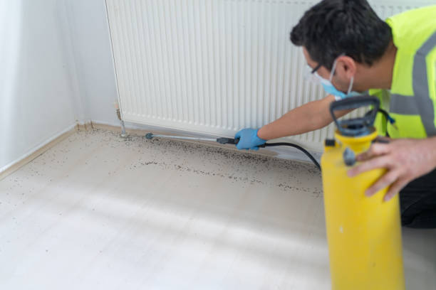 Best Bed Bug Extermination  in Westhampton Beach, NY